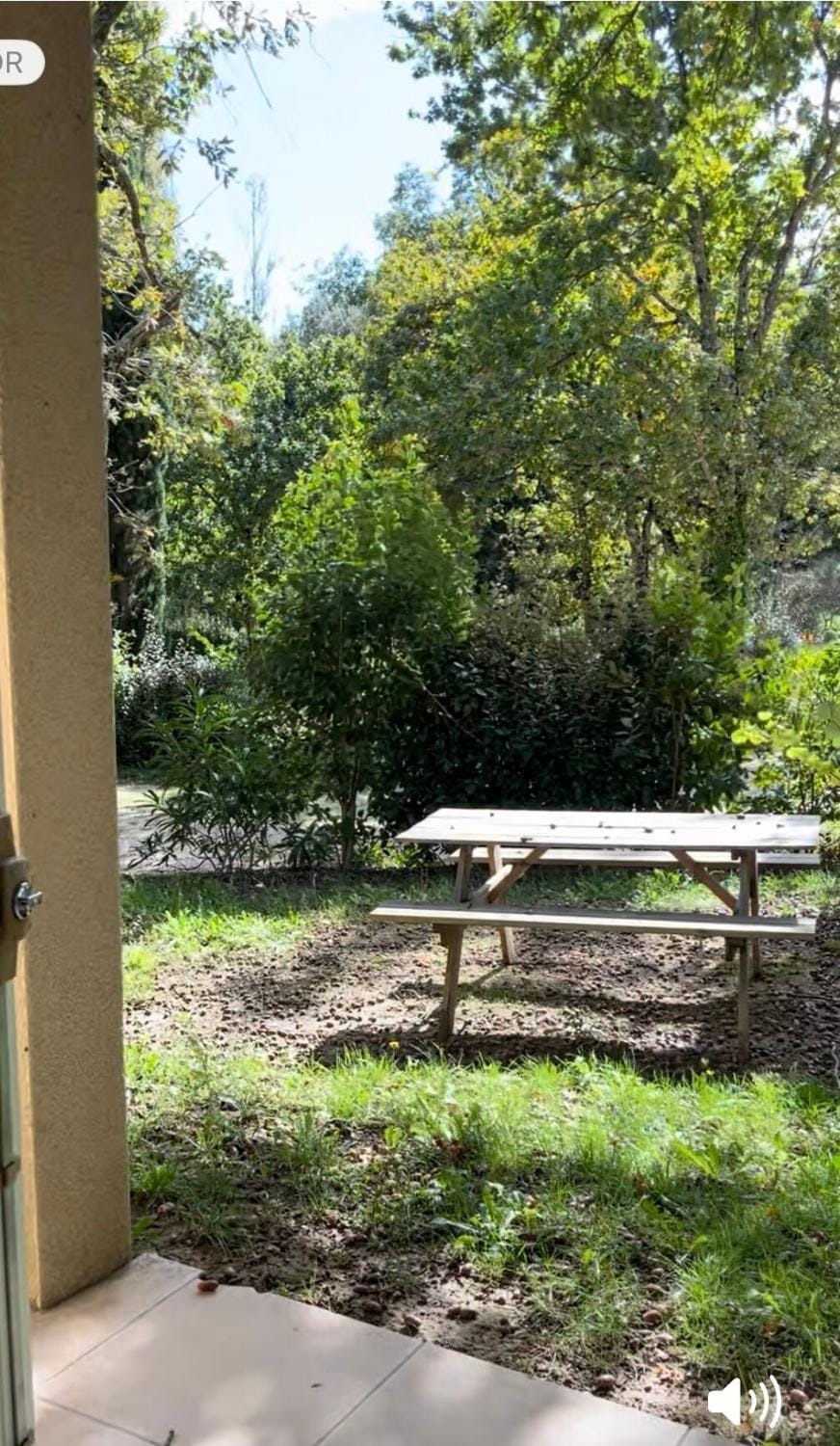 Natural landscape, Garden, Garden