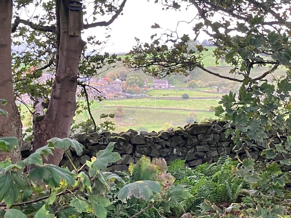 View (from property/room)