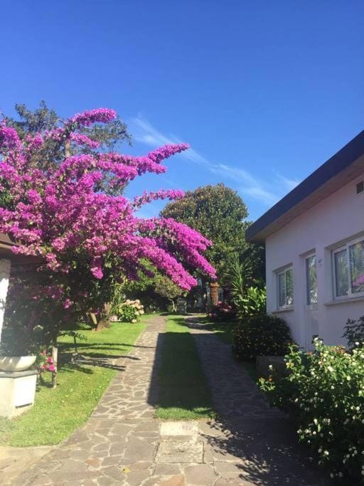 villetta bifamiliare Cherie con parco e piscina House in Sestri Levante