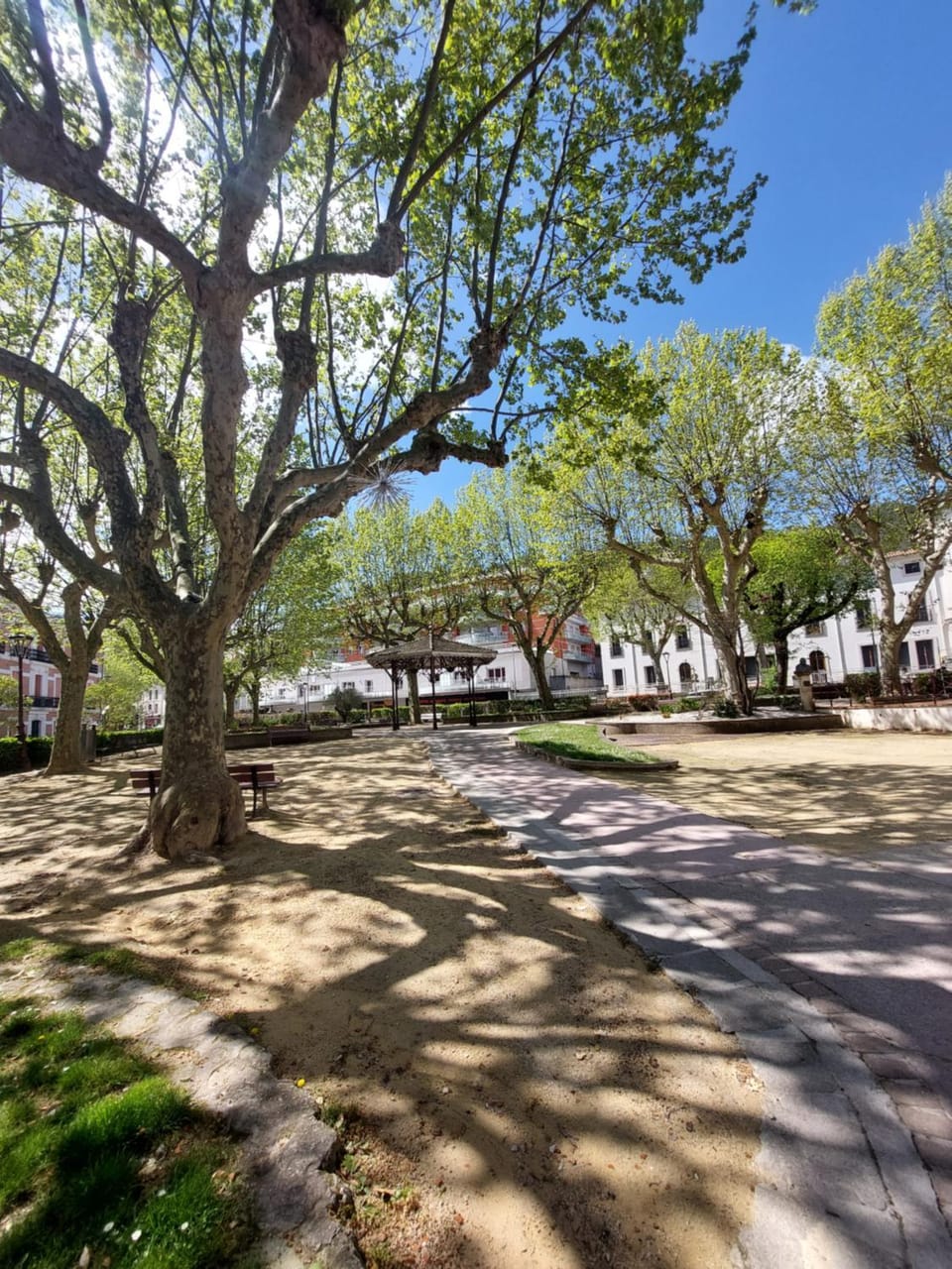 Neighbourhood