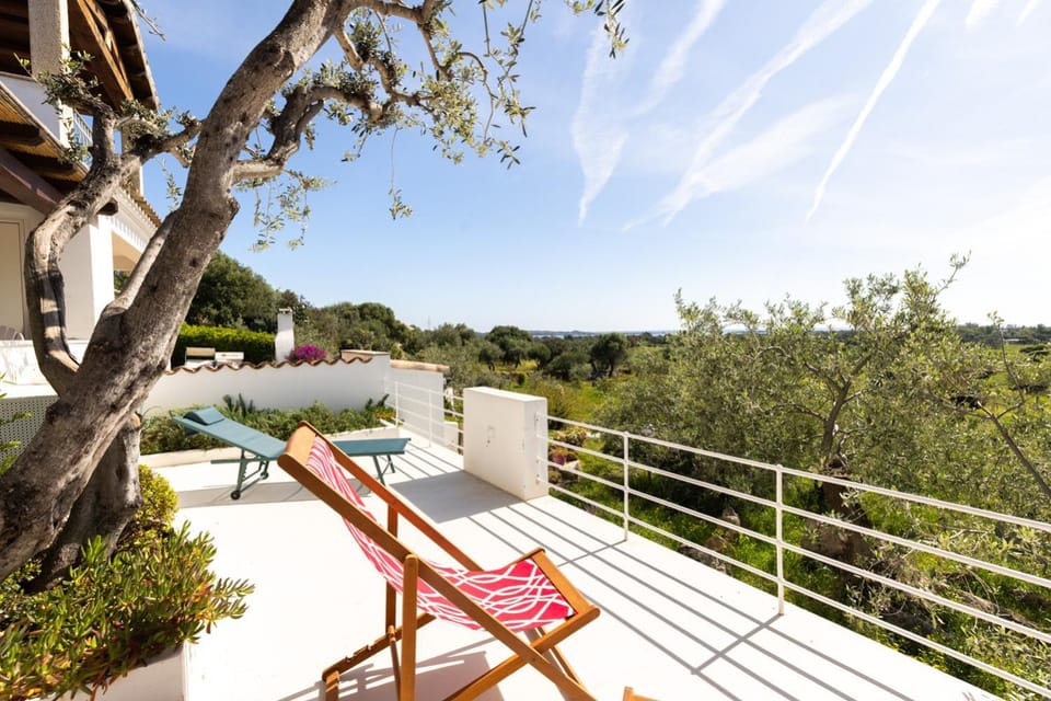 Patio, Natural landscape, Balcony/Terrace, Balcony/Terrace, sunbed