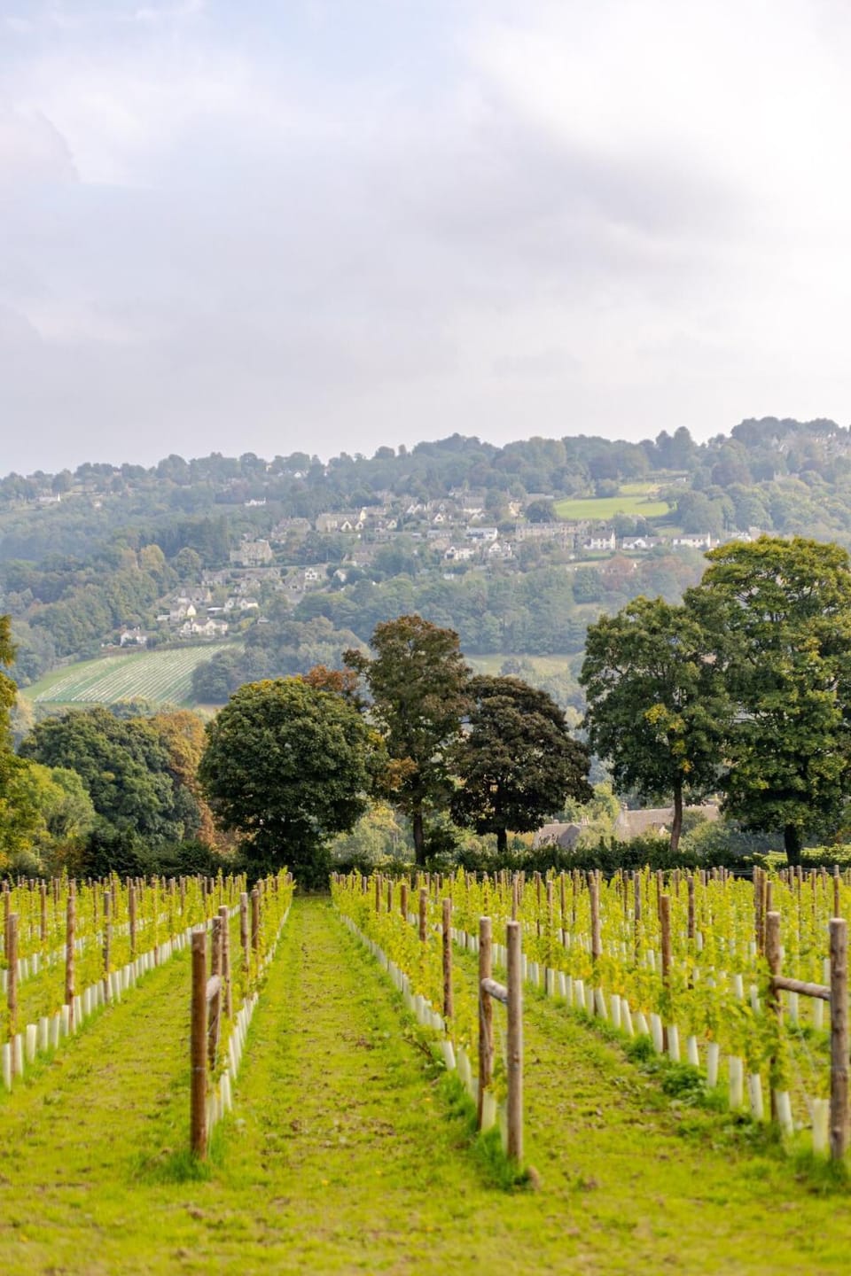 Spacious farmhouse with stunning valley views Apartment in Stroud District