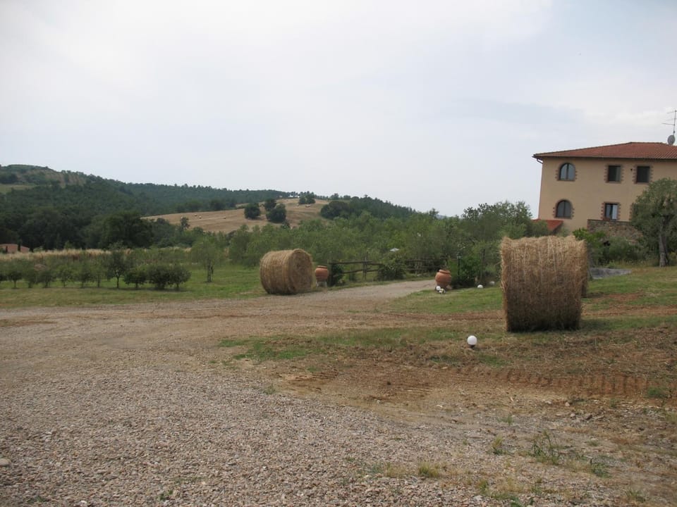 Natural landscape