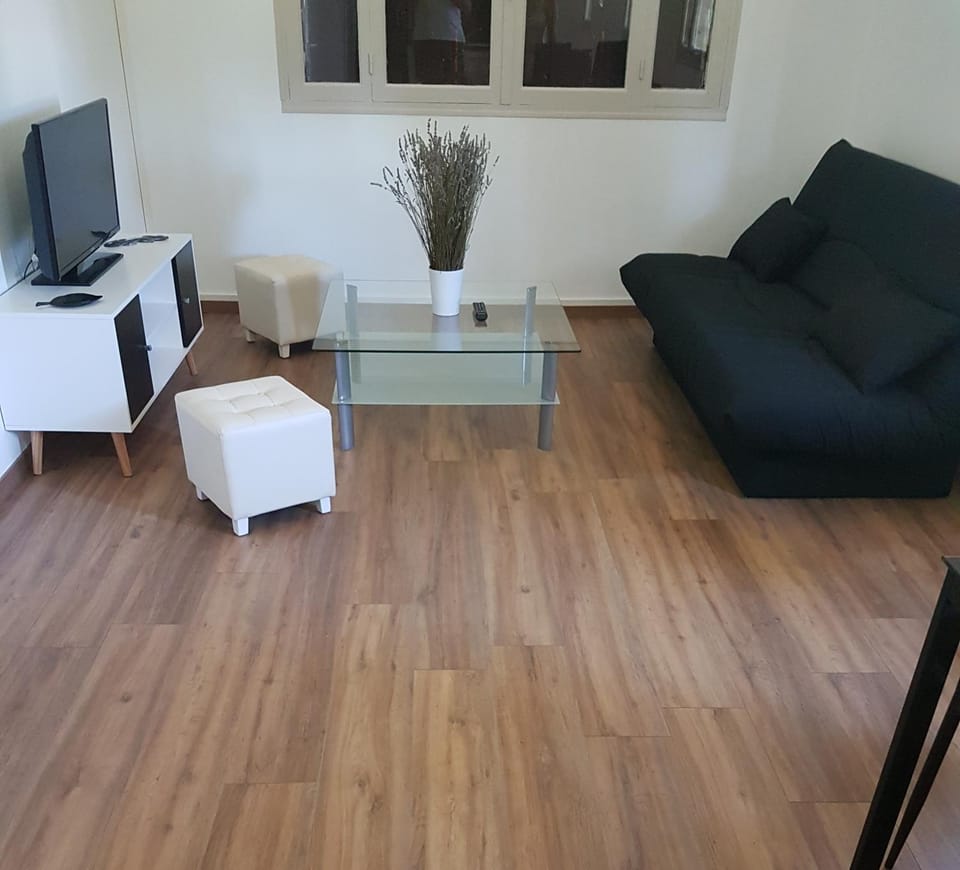 First Apartment in Alès