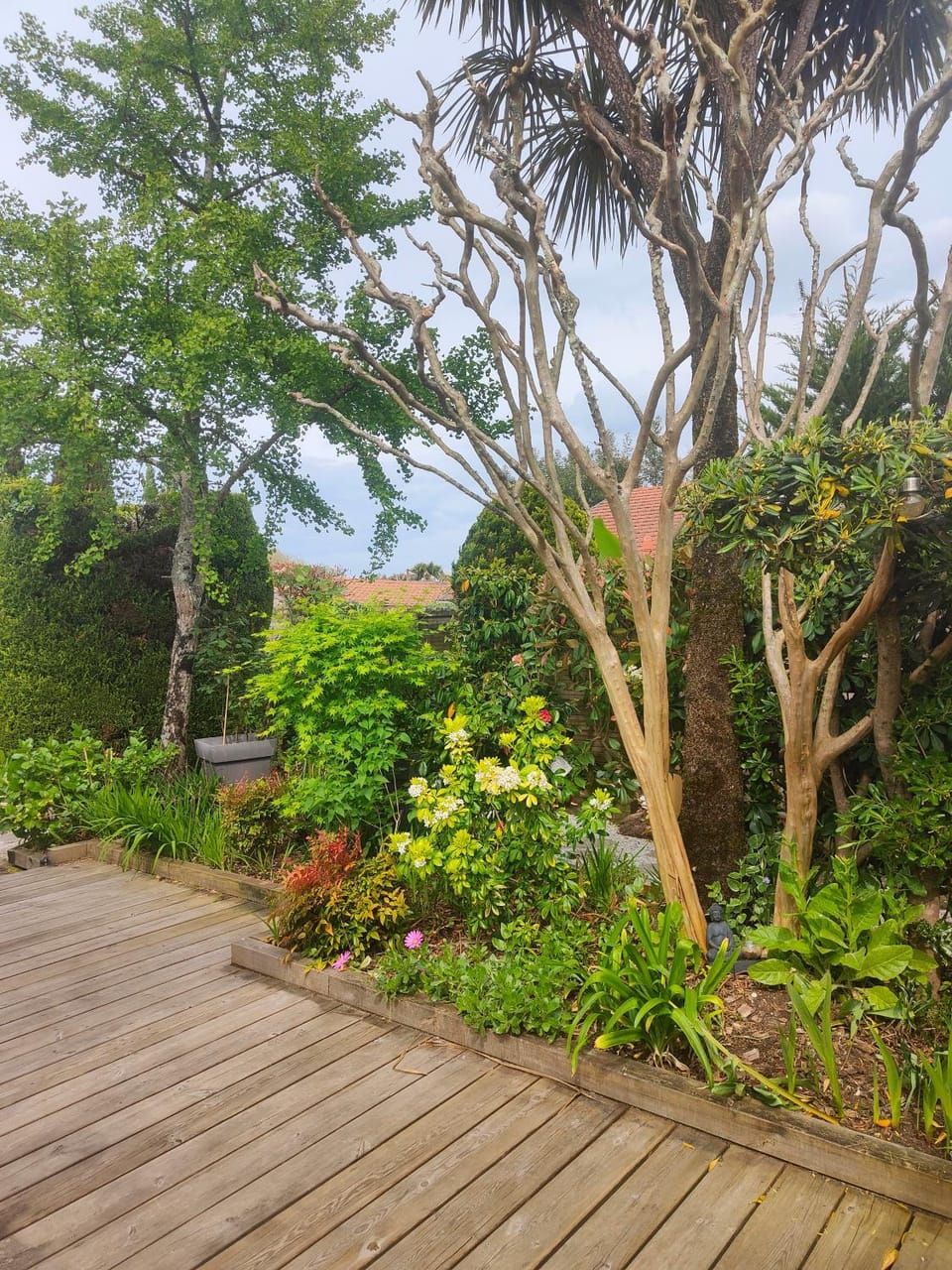 Spring, Garden view