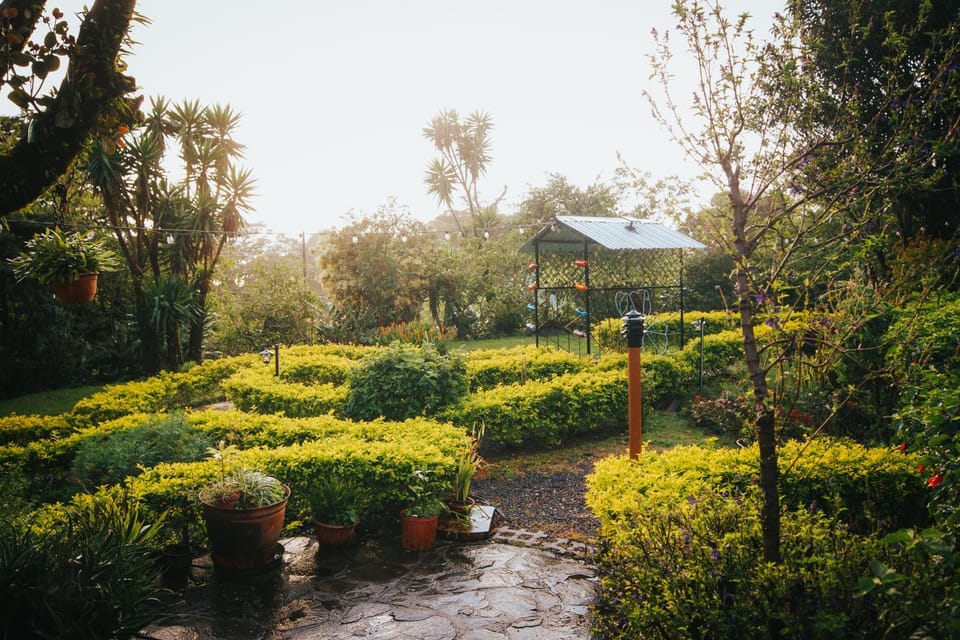 Patio, Garden, Decorative detail