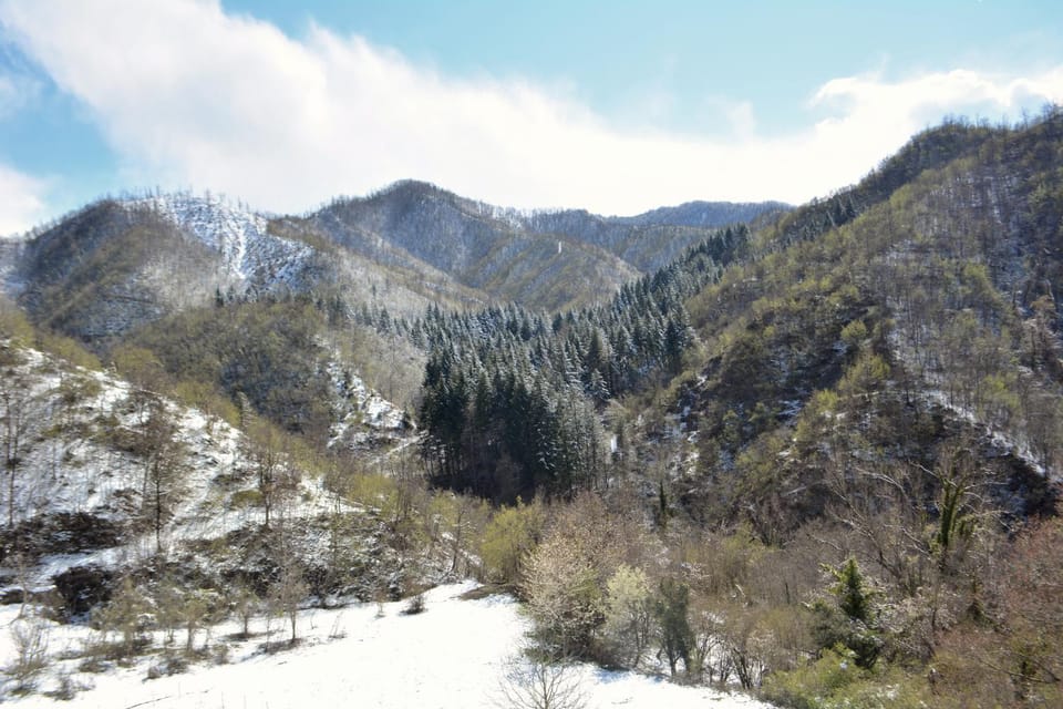 Mountain view