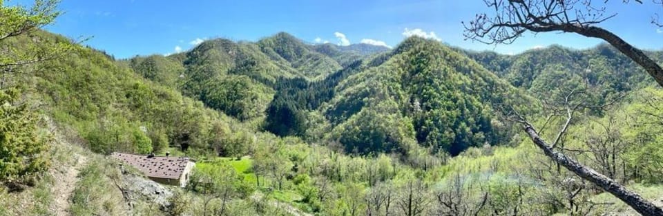 Mountain view