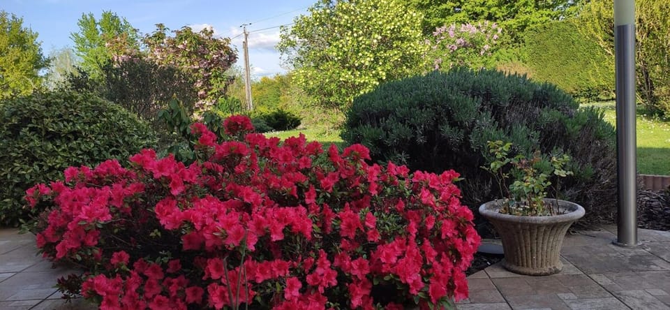 Garden, Garden view