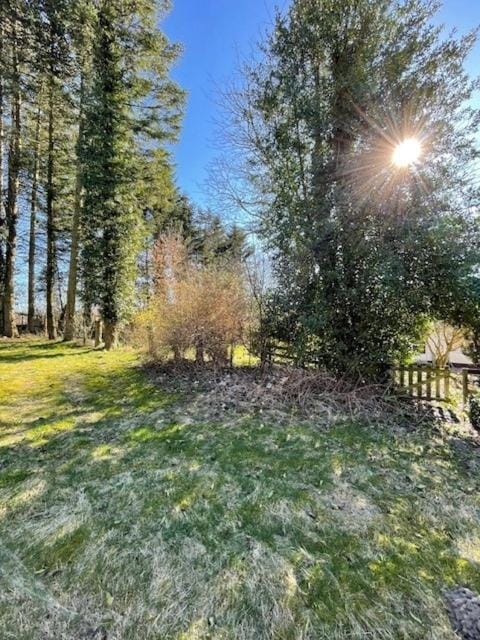 Garden, Garden, Garden view