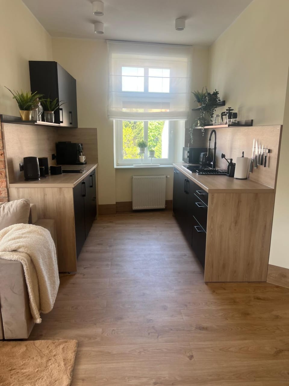 Coffee/tea facilities, Kitchen or kitchenette, pet friendly, stove, toaster