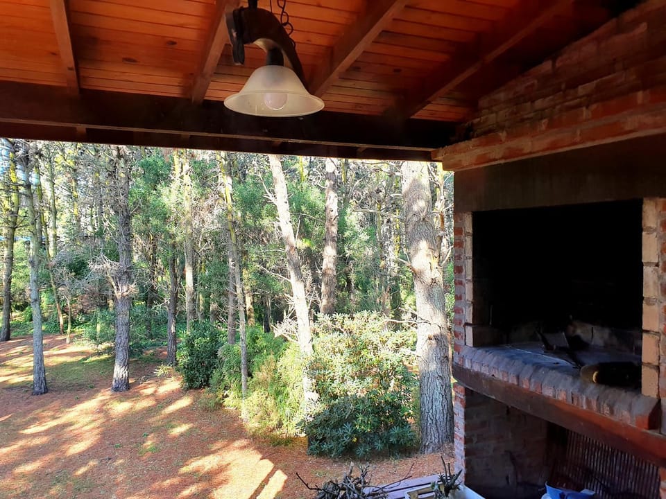 Natural landscape, Garden view