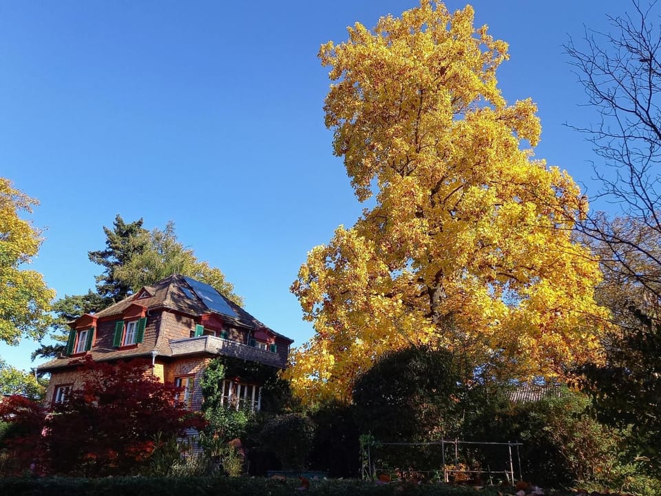 Property building, Garden, Autumn