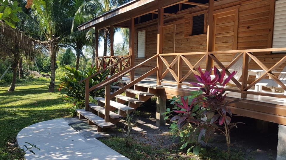 Patio, Garden