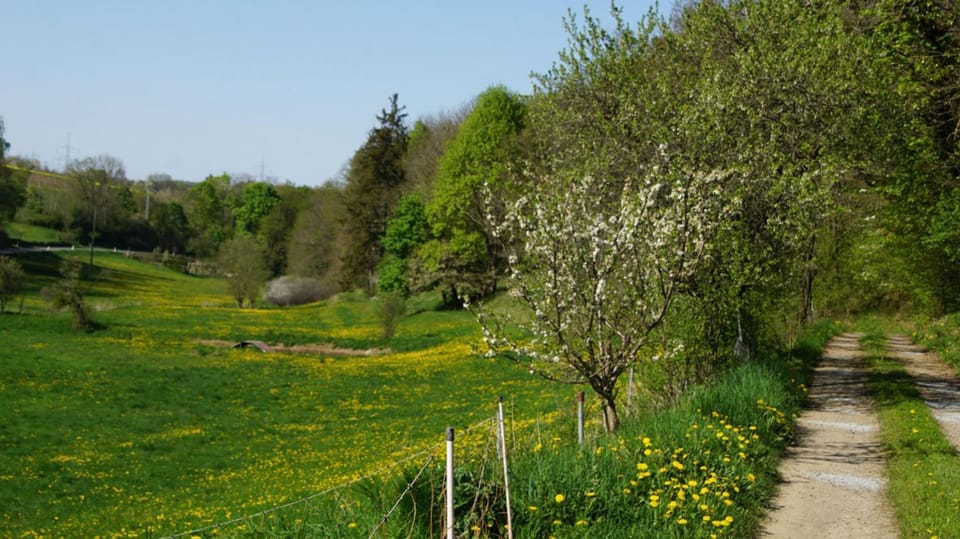 Eselstall Frieder Campground/ 
RV Resort in Thuringia, Germany