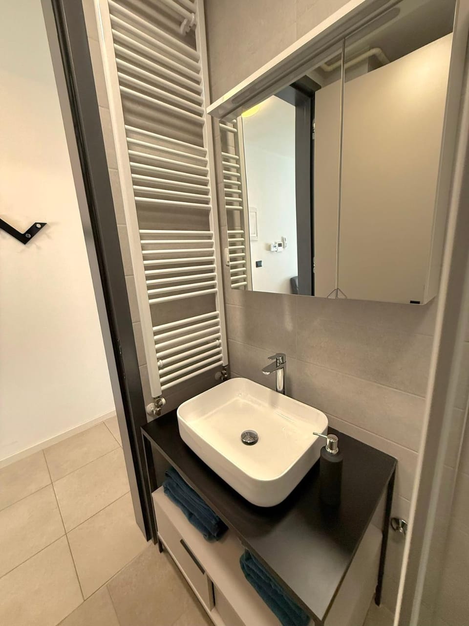 Lana apartment with private parking Apartment in Pula