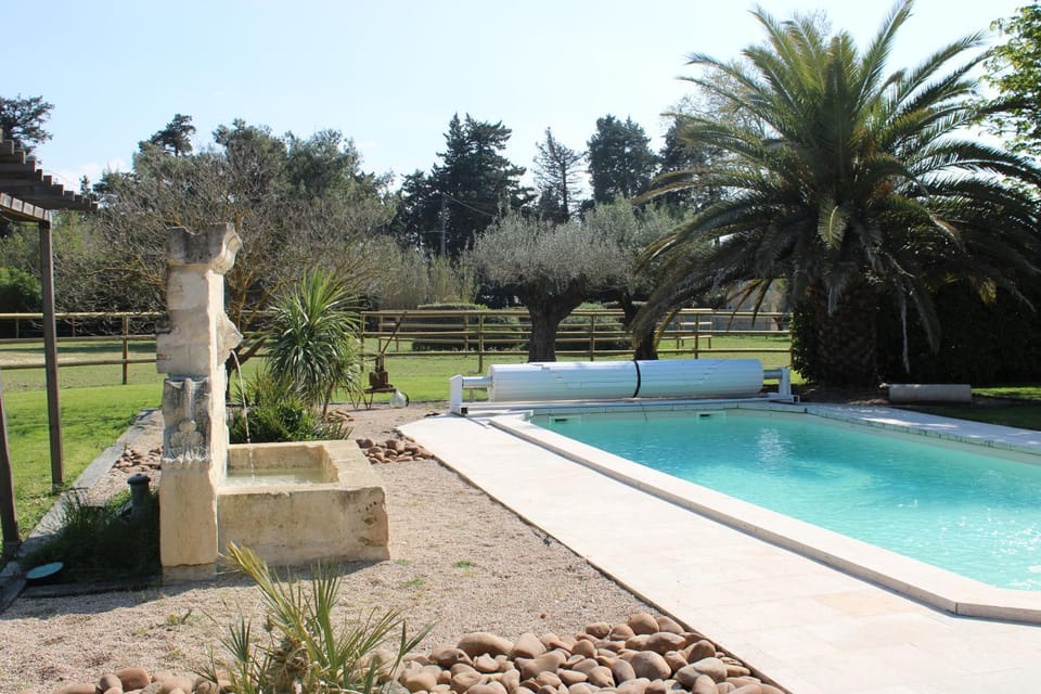 Natural landscape, Garden view, Swimming pool