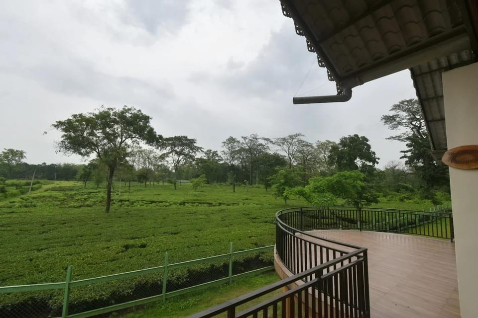 Natural landscape, Garden, Balcony/Terrace, Garden view