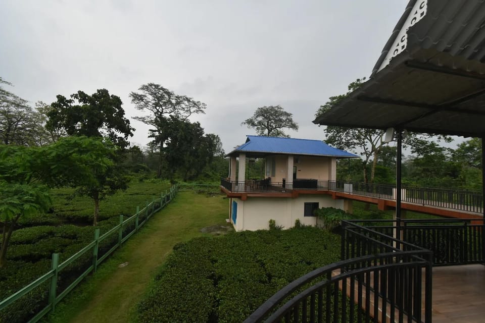 Garden, View (from property/room), Garden view, Landmark view