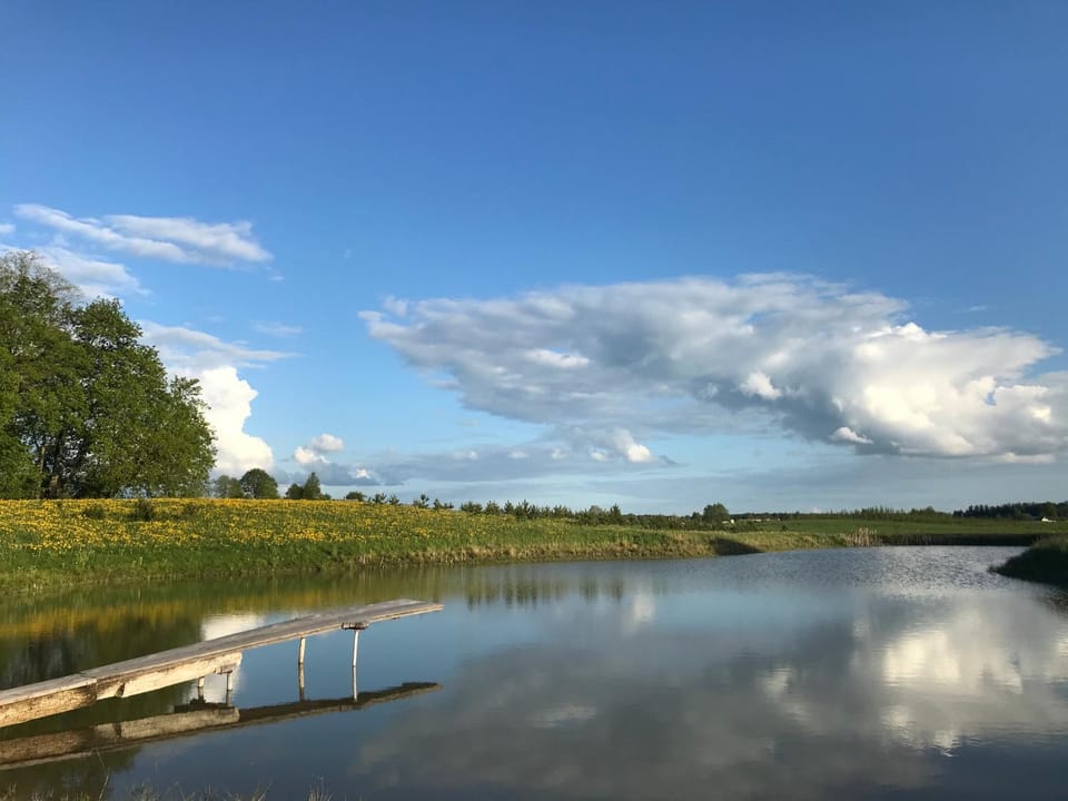 Lake view