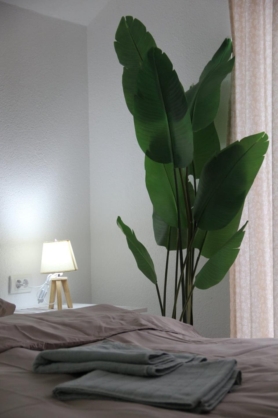 Anti-Age Apartmani Apartment in Vojvodina