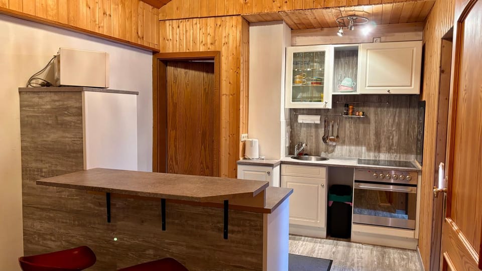Kitchen or kitchenette, Dining area, oven