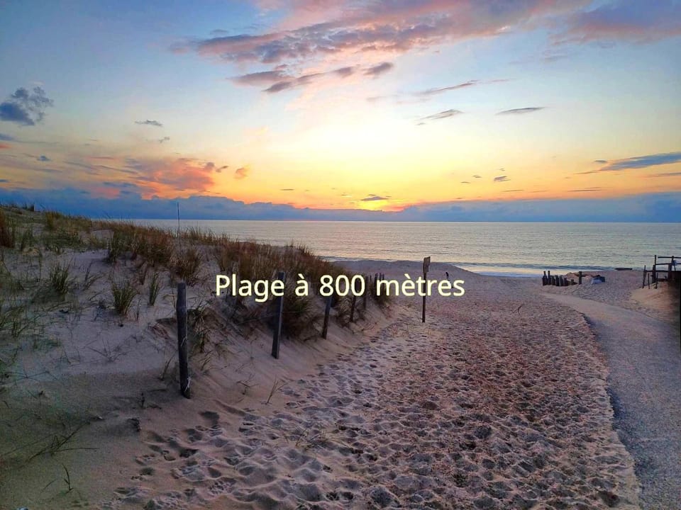 Nearby landmark, Spring, Beach, Hiking, Cycling, Autumn, Sunrise, Sunset
