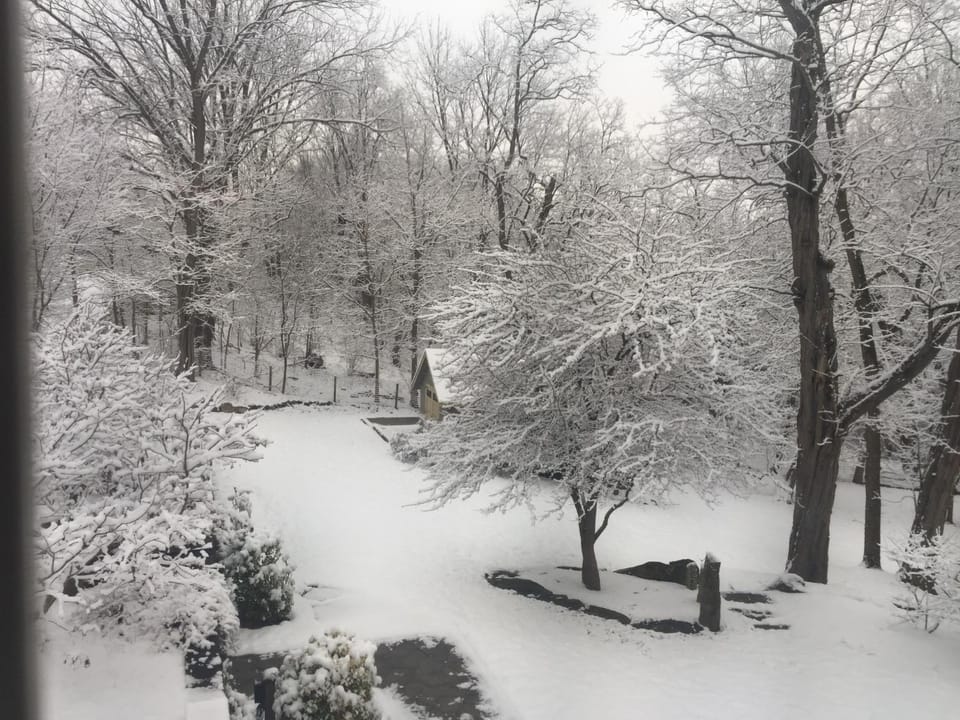 Garden, View (from property/room)