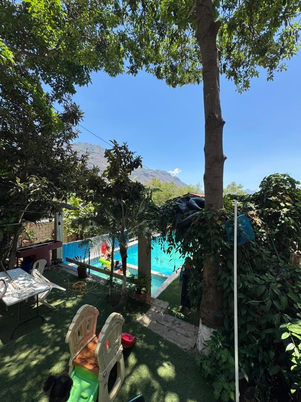Natural landscape, Garden view, Pool view