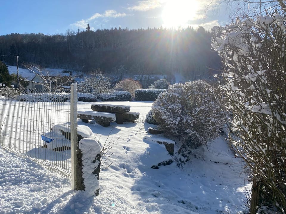 Vacances au calme Apartment in Vosges