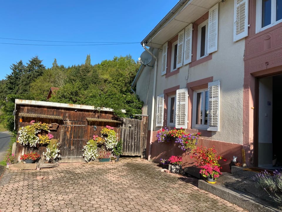 Vacances au calme Apartment in Vosges