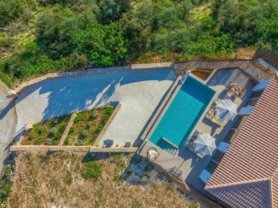 Bird's eye view, Garden, Swimming pool