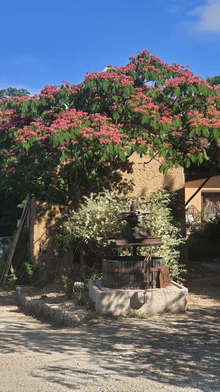 Spring, Garden, Decorative detail, Garden view