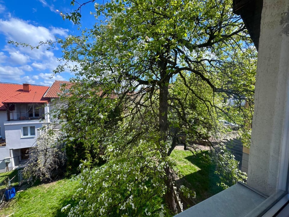Property building, Garden, Garden view