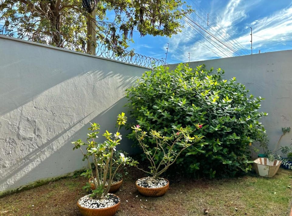 Garden, Garden view
