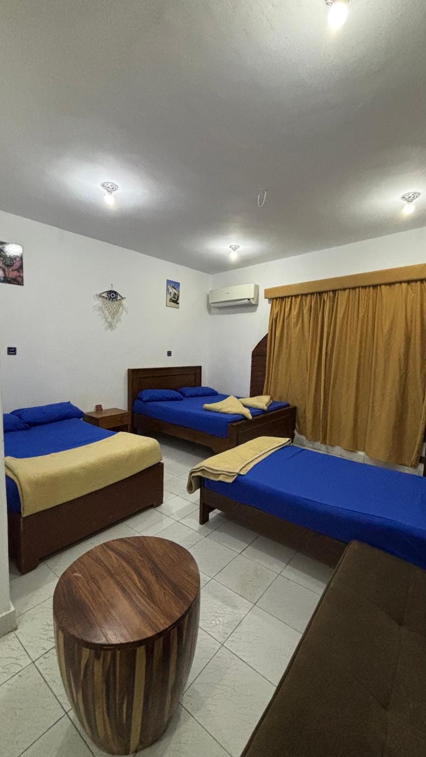 Sina house Hostel in South Sinai Governorate