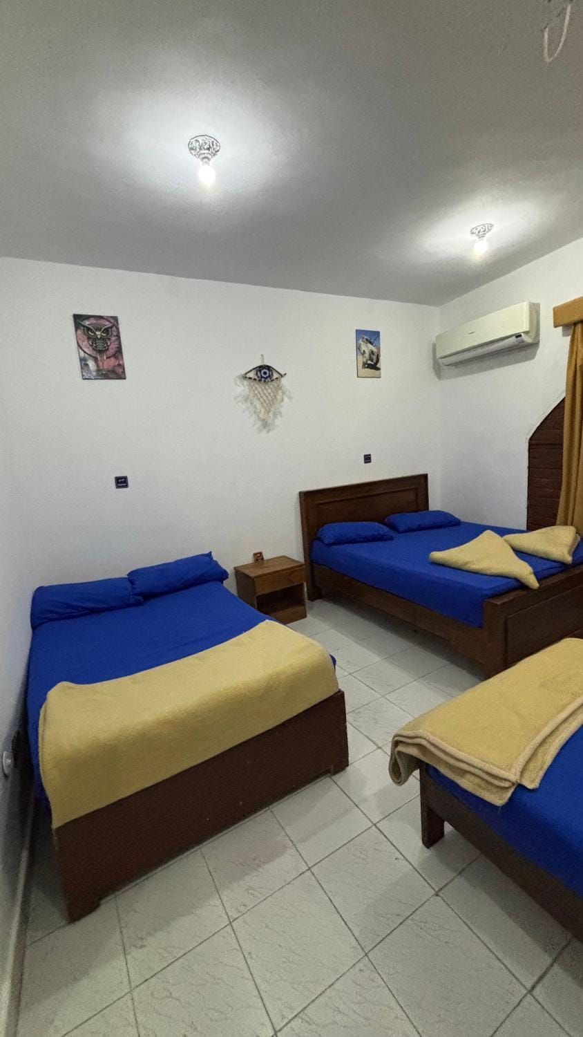 Sina house Hostel in South Sinai Governorate