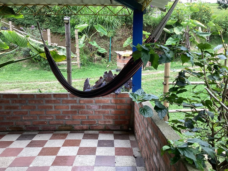 Garden, Garden view