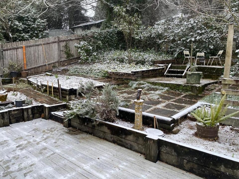 Winter, Garden