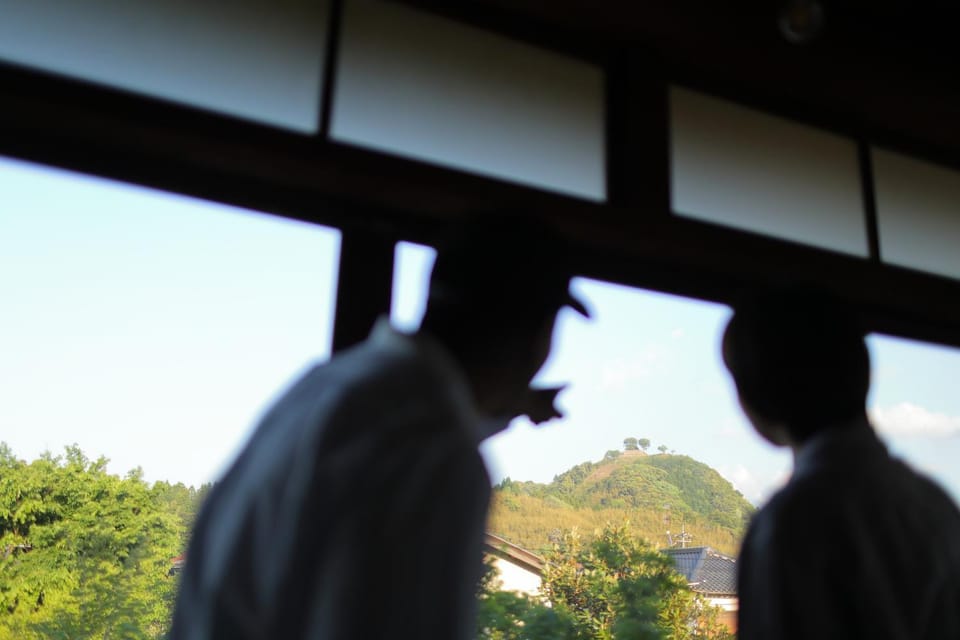 View (from property/room)