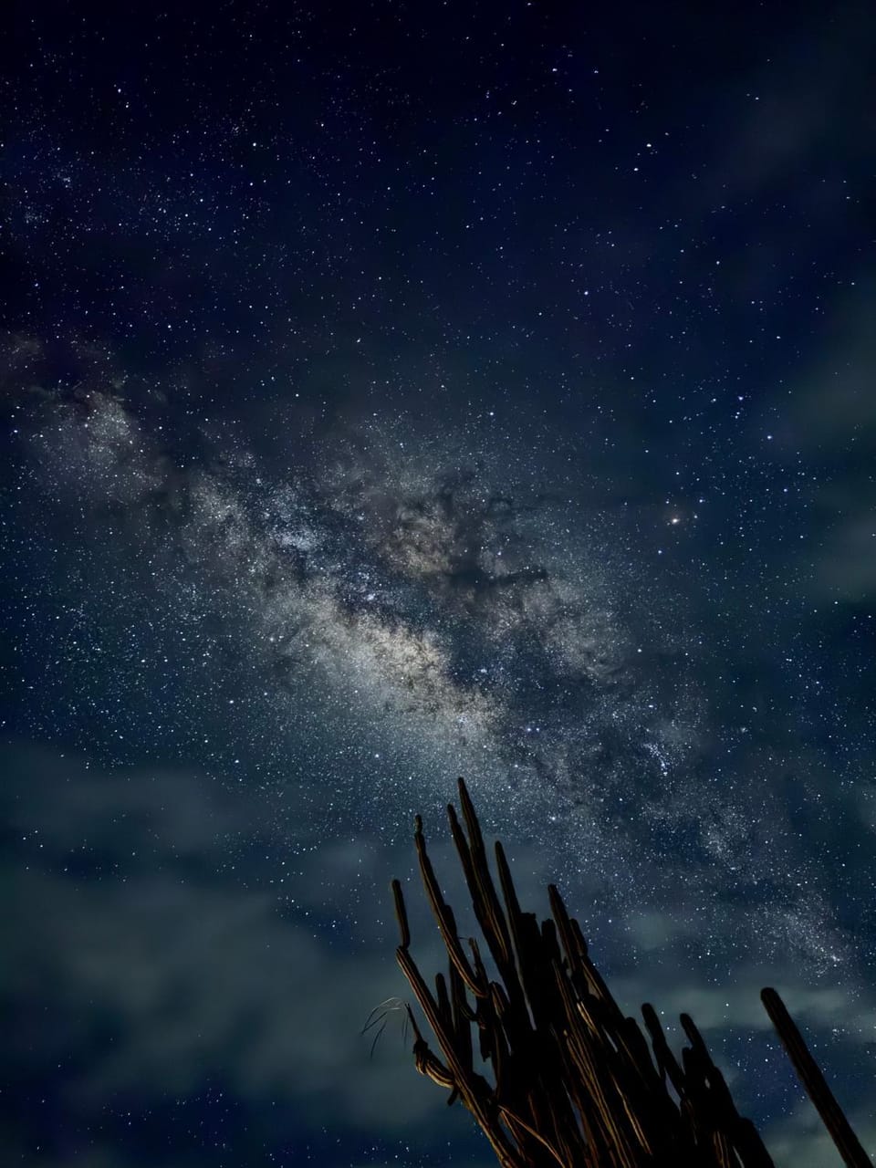 Bosque Seco Bioreserva & Hostel Bed and Breakfast in Huila, Colombia