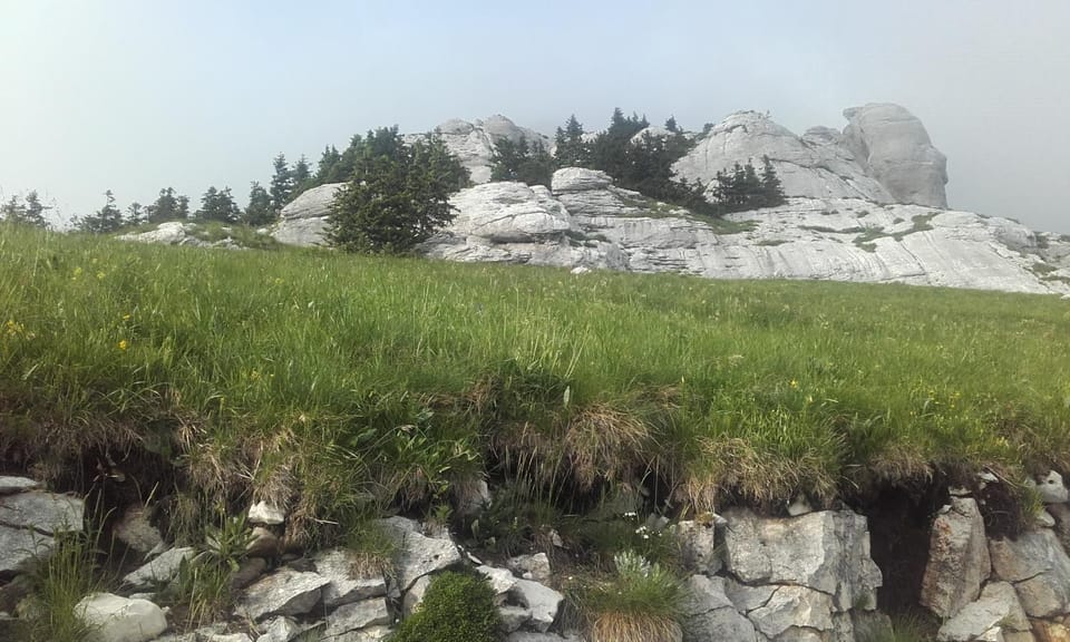 Natural landscape