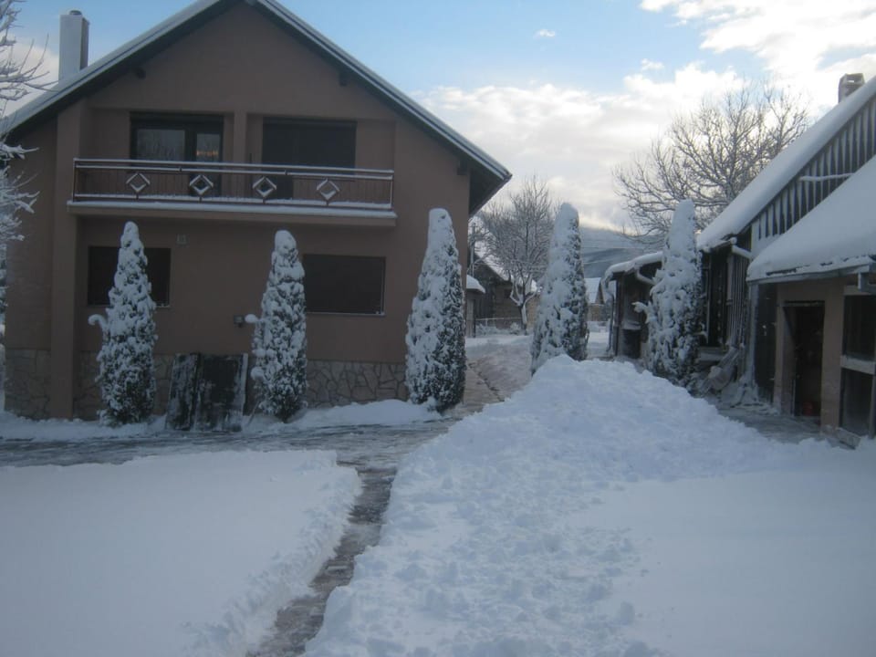 Winter