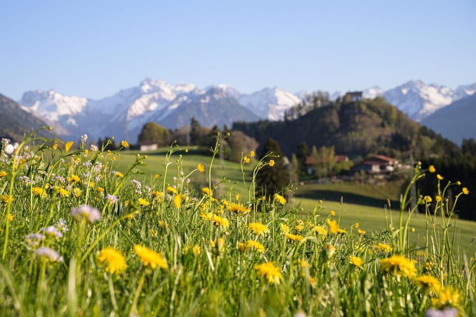 Spring, Natural landscape