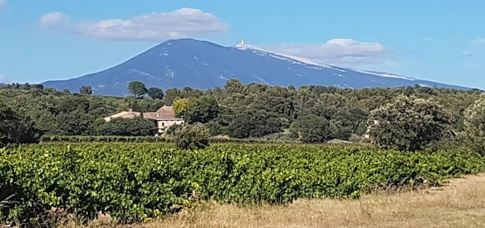 Off site, Garden, View (from property/room), Floor plan, Garden view, Mountain view