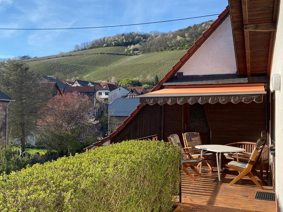 Ferienhaus im schönen Winzerdorf Kirschroth mit Sonnenterrasse und Wintergarten House in Rhineland-Palatinate