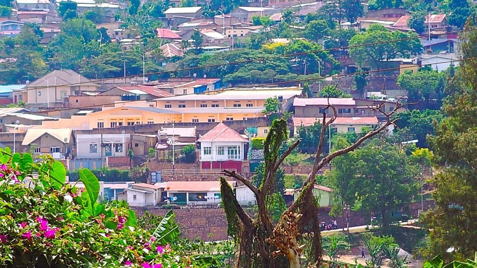 Neighbourhood, Natural landscape, Bird's eye view, Street view, Location