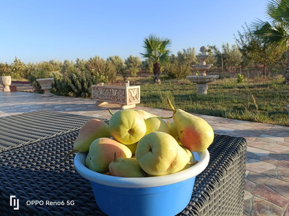 Une très belle ferme juste magnifique Apartment in Morocco