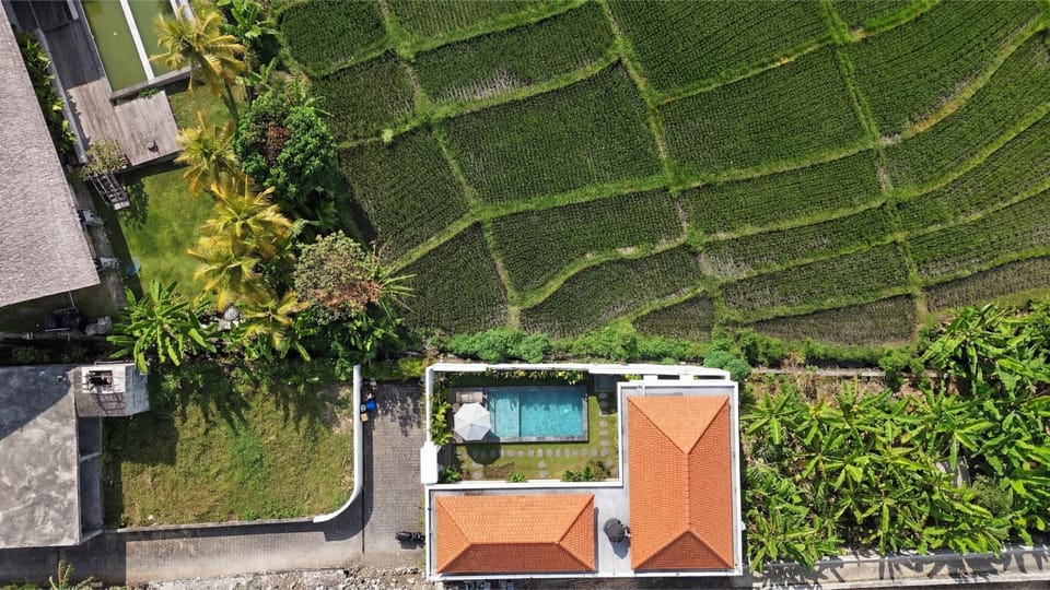 Property building, Neighbourhood, Bird's eye view, Swimming pool