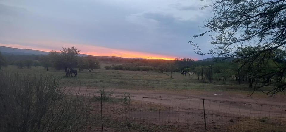 Spring, Natural landscape, Garden, Mountain view, Sunrise, Sunset